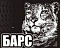 Барс